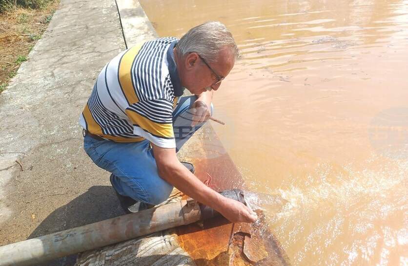 ������ ����� �� ����� �� �������������� �� ����������� ���� � �. ����� �� ������ �������, ��� �������� �� ������