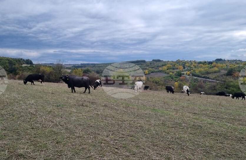 ���������� ����� � �������� ������� ������� ���� �� ���� �� ����������� �� ��������