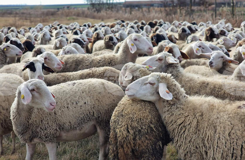 �������� ������������� ������� � ������� �� ������������ � ������������ ������ � �������� ������ ������ �� ���� ���� � ���������