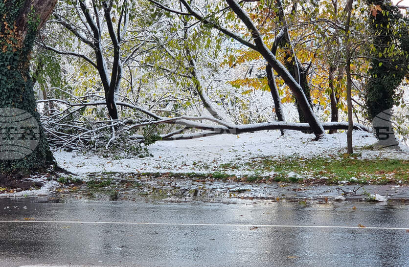 ����� �� ������ �� ���������� ����������� � �������� �� ��������� ������� � � ������� �� ��������