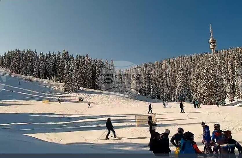 ����� 11 ������� �� �������� ���� ������ � ��������, ����� 4 ������� �� ���� �����