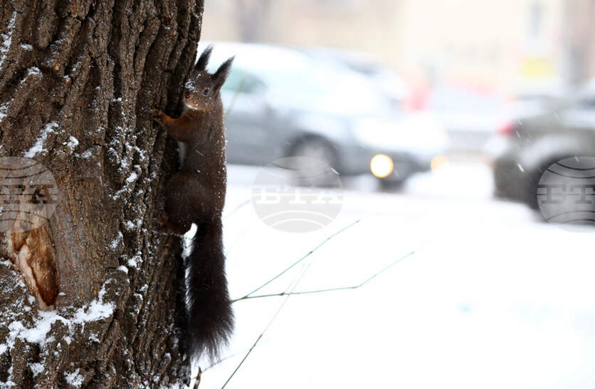 �������� �� ������� �� 11 ������ (������) � ���������� ���