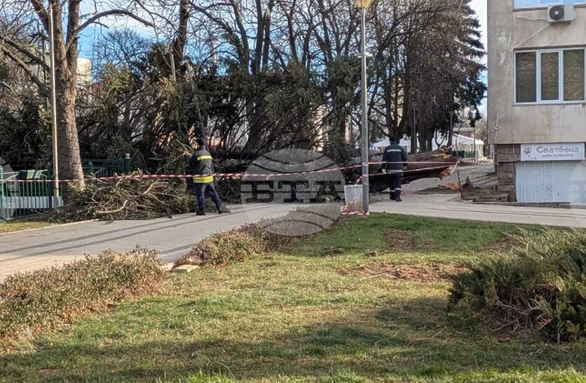 �� ��� 15 ������� �� ������, ��������� �� ������ �����, �� ��������� ��������� � ������