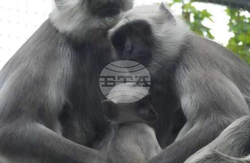 ������, ���������� ������, ����� � ������� �� ���� ������ ���������� �� ��������� ������� ���� 2025 �.