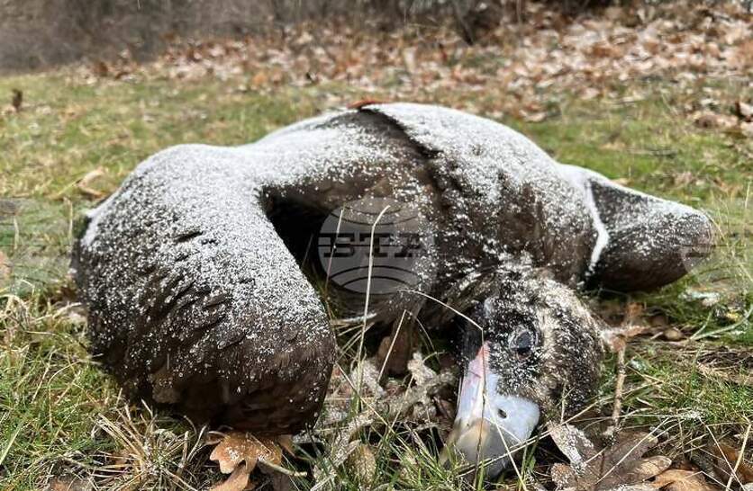 ����� �� ���������� ������� � ������ �� ����� ���������� �� ��������