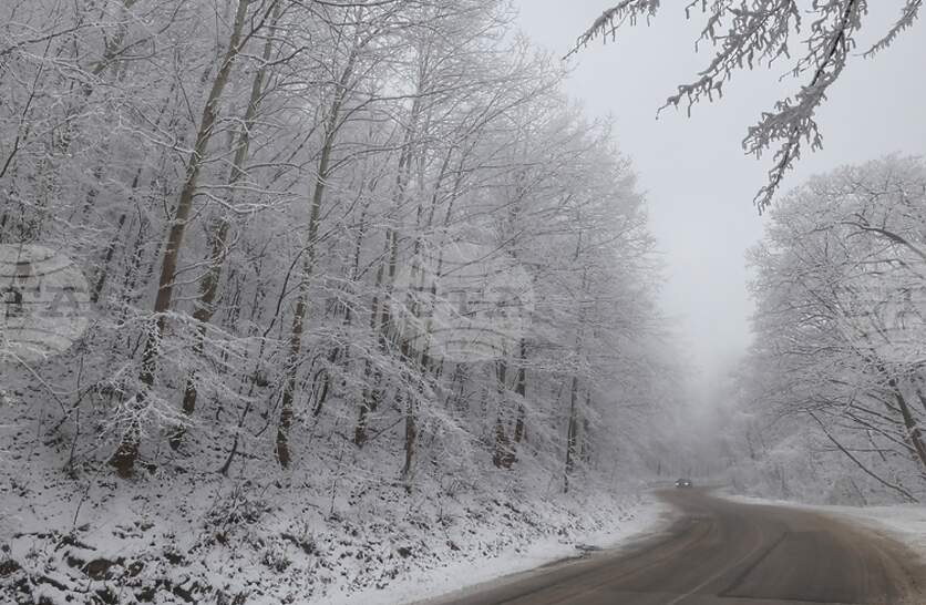 ����������� ��������� �� ���� �� �������� ����������  �� ������� ��� � ��������