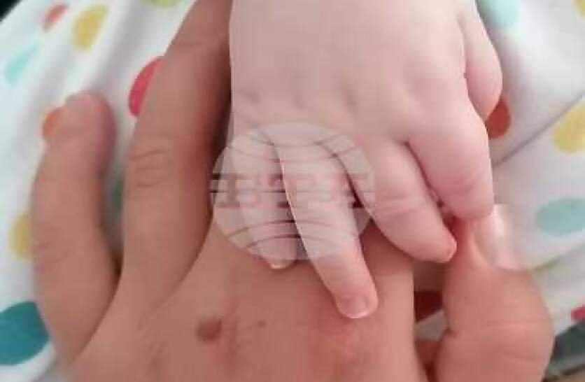 ����� 1800 ������ �� ������ � ������ ���� 2025 �.