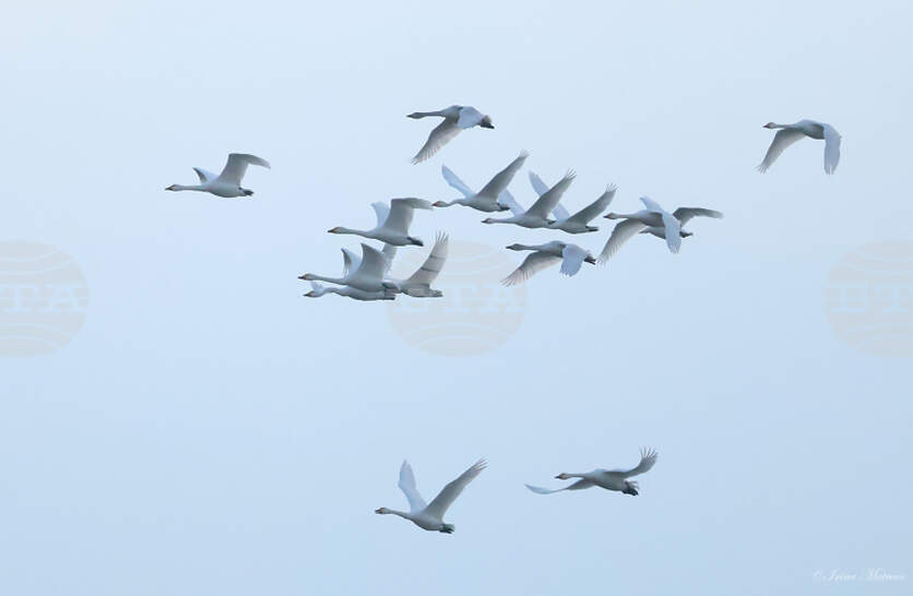 ������ ���������� ����� ��� � ���, �������� �� ����������� ��������� �� ������ �� ������� ���� ������������� �����������