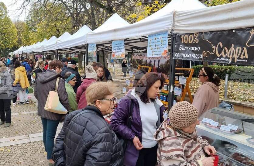 ���������� ���������-������������ ��������� �� �������� �� ������ ������������� �� ���������� �������� � ����� � ���� 2026 �.