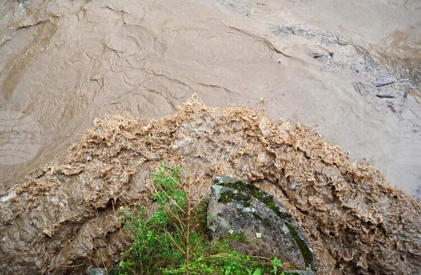 �������� � ������������ ���� �������� � ������ �����, ��������� �� ������ �� ������