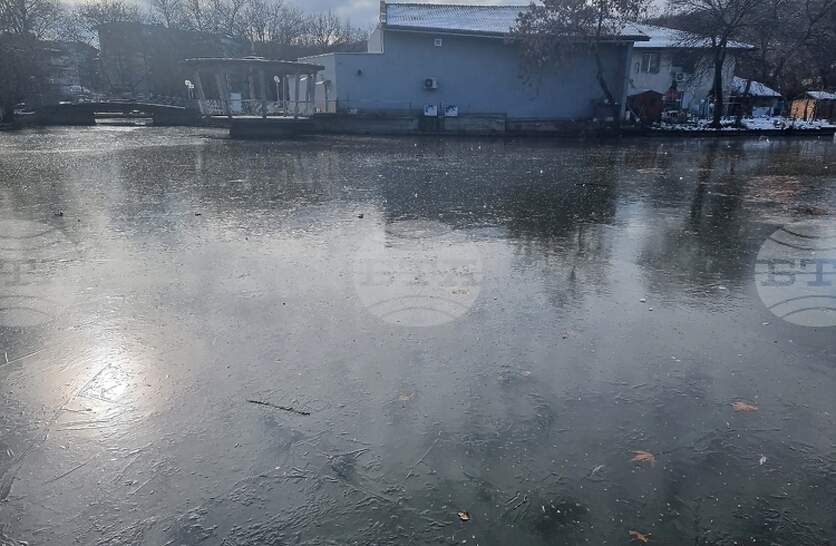 ������� ������������ � ������� � ����������