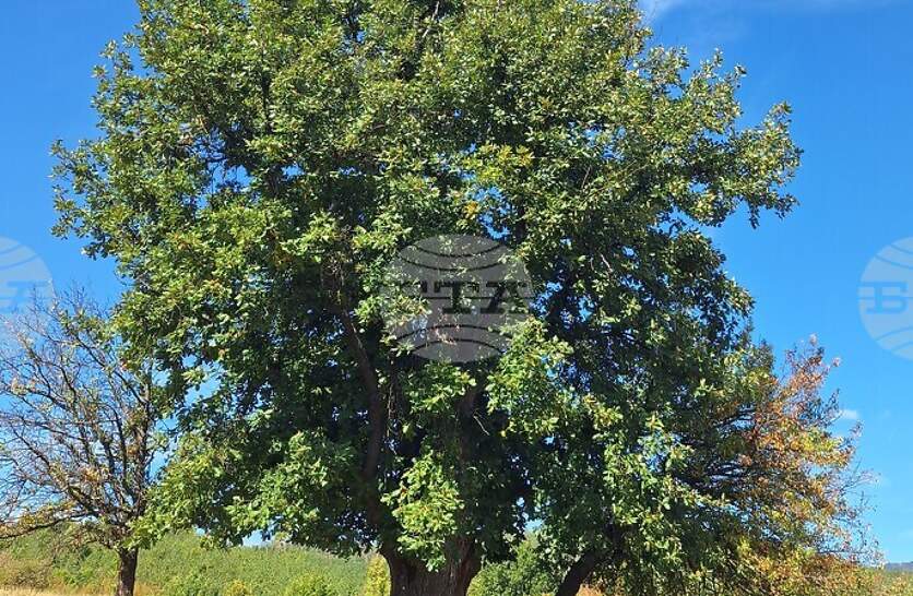 ������ ������� ������� � �������� �� ������� �� ��������