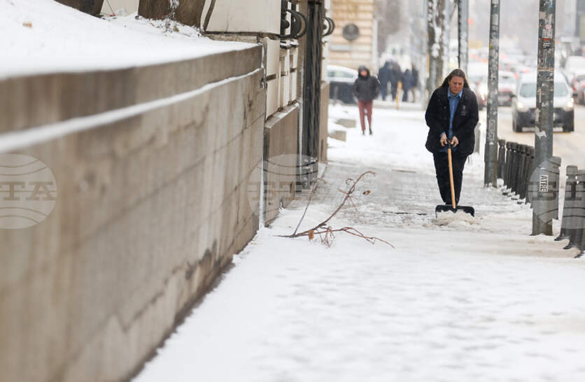 ���� ������ ���������� �� �������� 46 ����� �� ��������� ������ �� ����������� ��������, �������� �� �������� ������