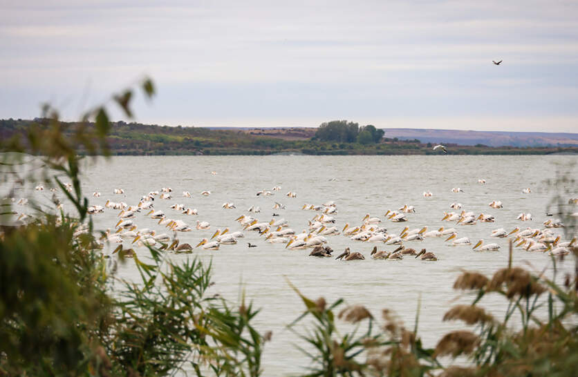 ���������� ���������� ���������� ����� �� 15 �� 18 ������