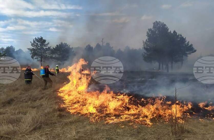 ���� 56 ������, ��������� 2186 ������ ����, �� ������������ �� ����������� �� ��������������� �������� ����������� ���� 2025 �.