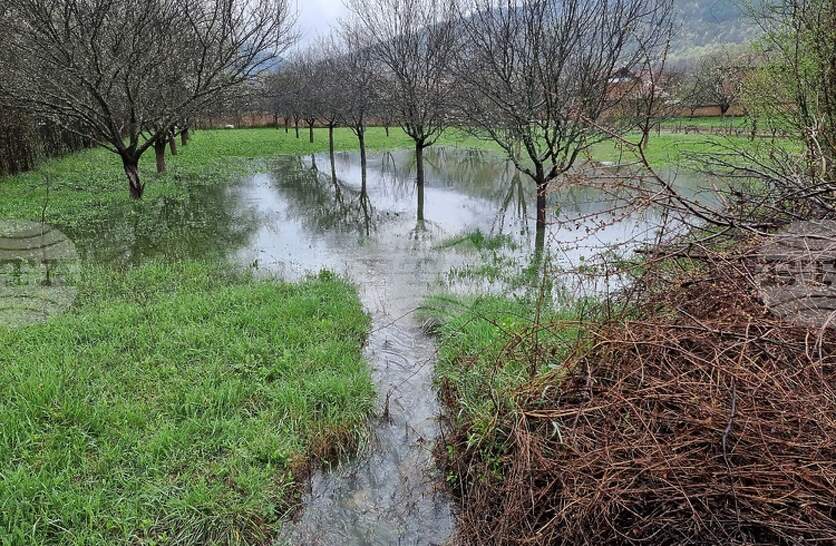 ���������� ������ � ���� � �� ������ �� �������, �������� �� ��������� ��� ������ � ���������������� �� ����������� �� �������