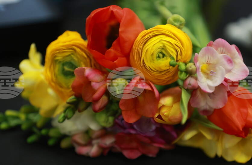 � ������ ����� ���� ��� ��������� 195 ���� � ����