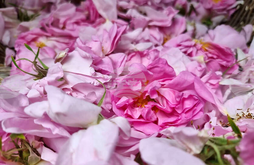 ������ �������� �� � ������� ���� �������� �� ��������, ��������� �� ���������� � ���������������� �� ������������������ � ��������