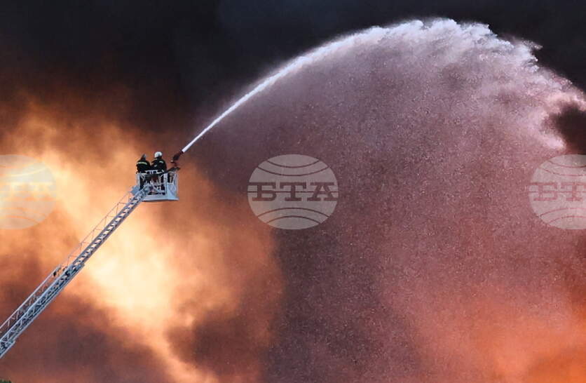 ���� 88 ������ �� �������� ���� ���������� ���������, ��������� � ���� �����