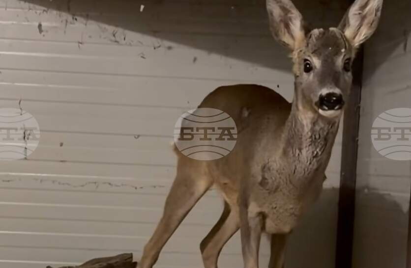 �����, ��������� �� �������, � ������� � ���������� � �������� � ������