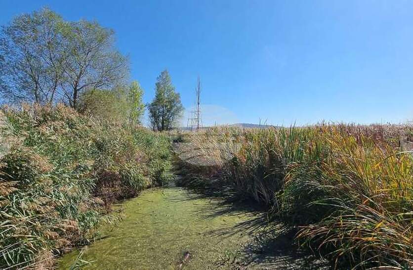 � �������� �� ������������� ����� �� ���� ��������� ���������� ��� �� �������� ����