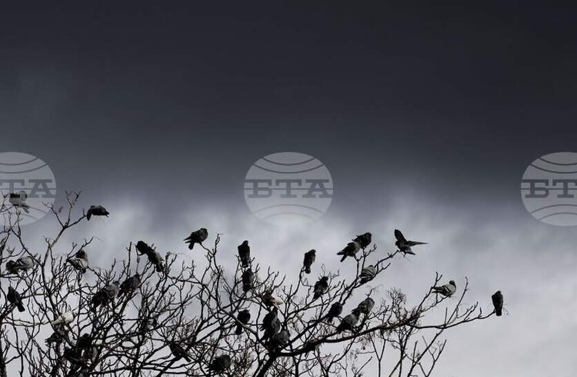 �������� �� ������� �� 8 ������ (���������) � ���������� ���