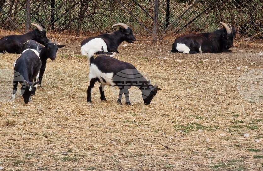 �������������� ������� � ����� ���� �� ������� ���������� �� ���� �� 4 ������ 2026 �. ������ ����������� �� ��������� �� �������� � ����