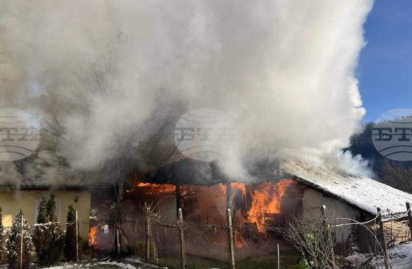 ���� ���������� ���������� ����� � ��� ���� � ����������� ���� ����� ����