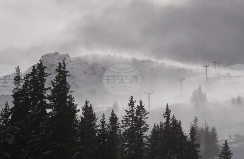 �� ����� ����� ��� ��� ��� ������� ��������, �������� �� ����������� ���������� ������ �� ���