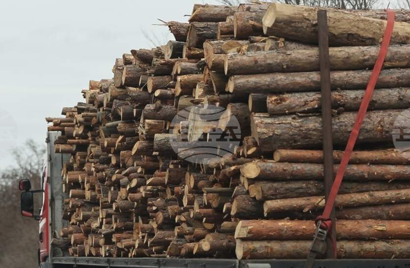 ������������� �������� ������� ���� � ���������� � ������������ �����