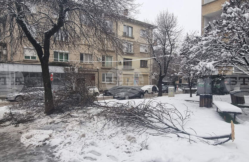 ������� �� ��������� � ������ �� ��������� �� 51 ������� �� ������� ����� � ������� ������� ������ �����������