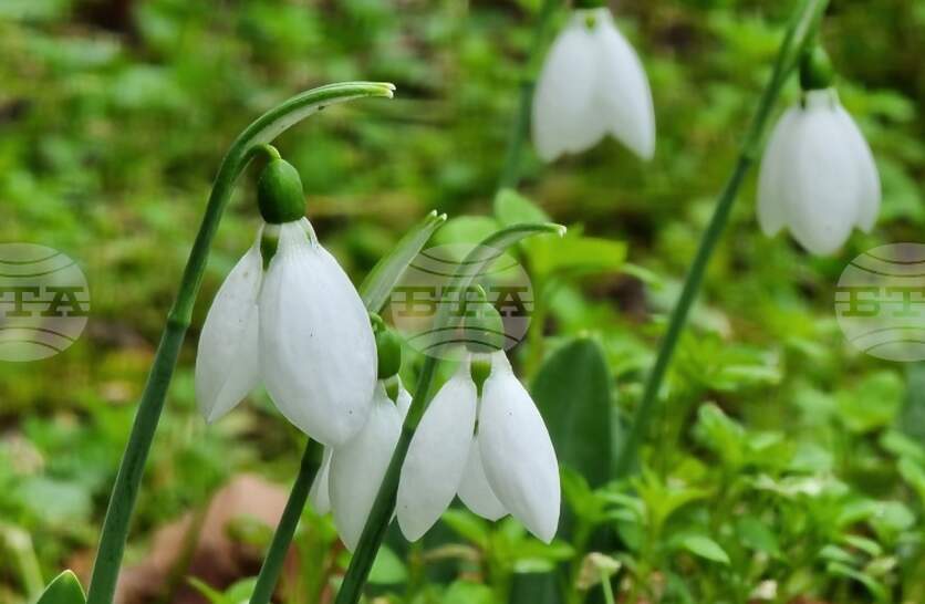 �������� �� ������� �� 9 �������� (����������) � ���������� ���