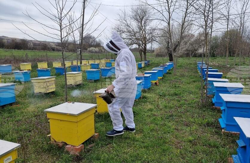 � ������ ����� �� ������������ 313 �������, �������� �� ���������� ������������� �� ����� ���� �� �������