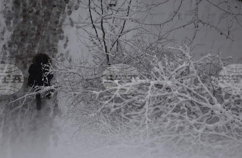 �������� �� ������� �� 22 �������� (������) � ���������� ���