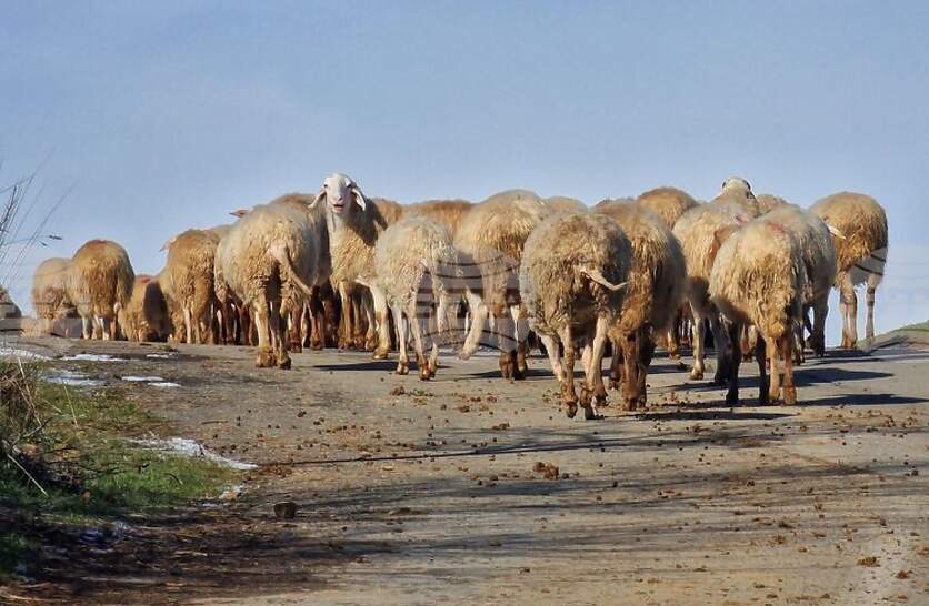 ������ �� ����� �� �������� �������� ������� � ���� ���������� � �. ������ ������