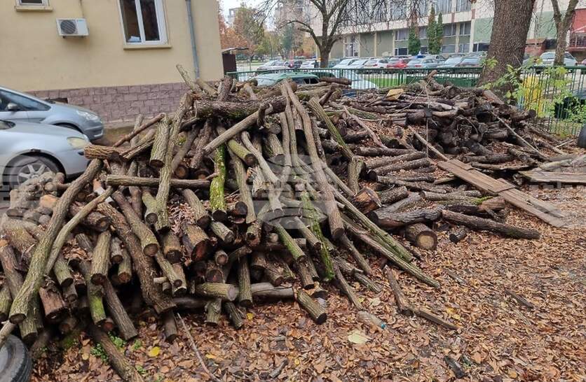 �� ��� ����� � ��������� �� ������� ��������� ������ �����, �������� �� �������