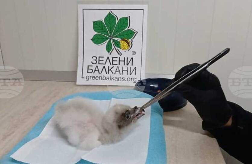 ������ �� ������� �� �������� ����� ������ ������ �� �������� �� �������������� �� ����