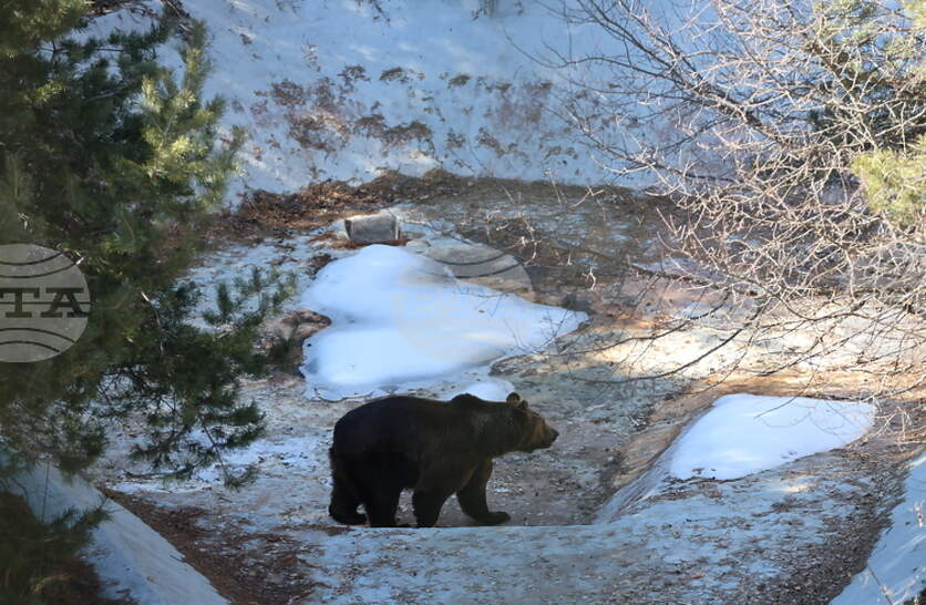 ������������� ����� ����� � ��������� �� ���� ��� ������� ����� � ���� ��� ������ �� � ����� � ������