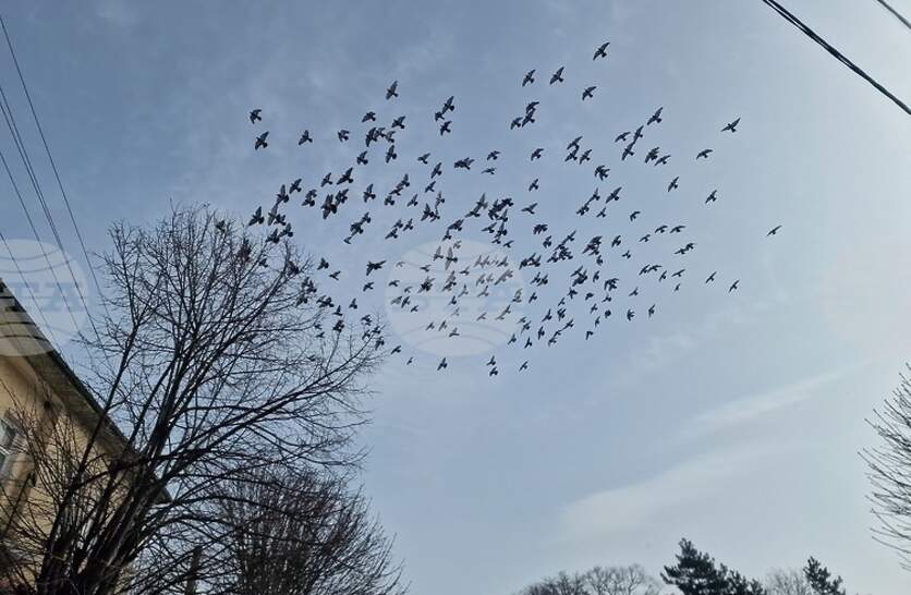 ���� �� ����� - ����� ����� ���������, ��������� � �����