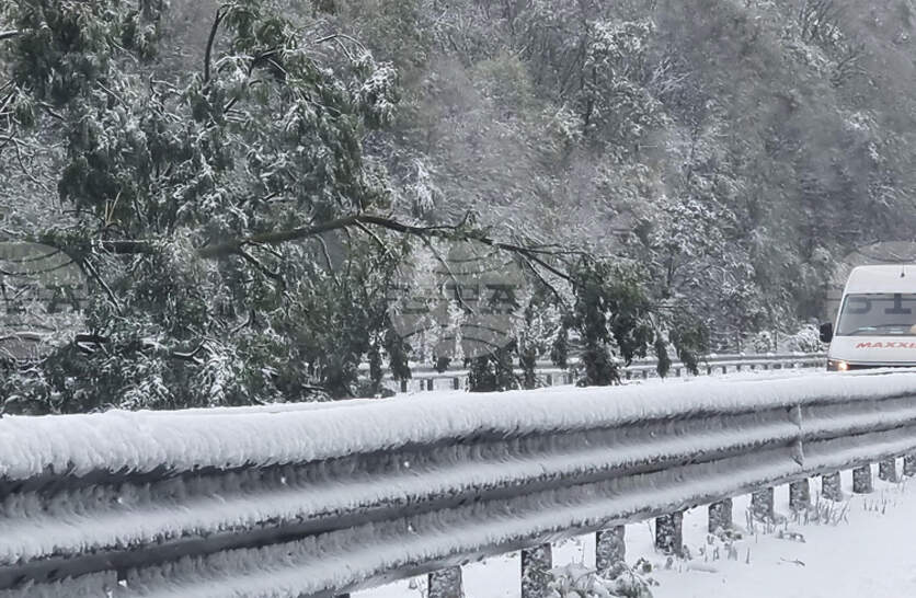 �������� �� ����������� �� ���������� ��� 12 ���� �� ���������� ������ � ��������� ����� � ����� ������ ����� ���������� � ����������