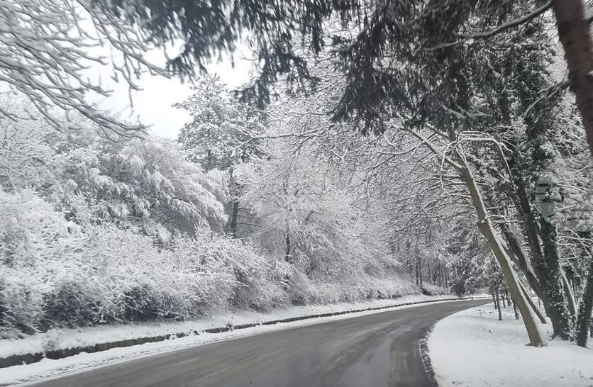 ���� 76 ������ ��������� � ���������� �������� � ������ ������