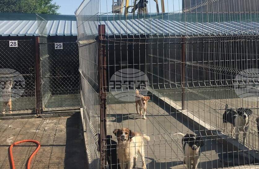 �������� �� ������������� ������� �� ������ � ��������� ����� ������ �������� � ����� ������ ��������� ������ �� �������� �� ���� ����