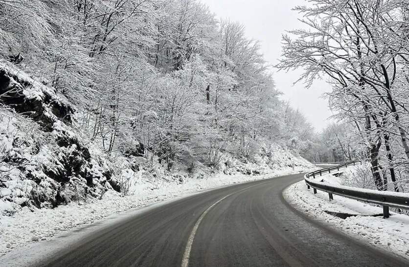 �� 15 �� � �������� �������� � ������� �� �������, ������ ������ �� ���������, �������� �� �������� �������������