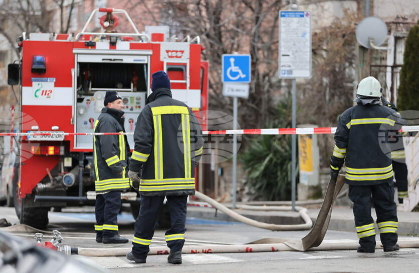 �������� �� 50 ������ � �������� ���� ���������� ���������