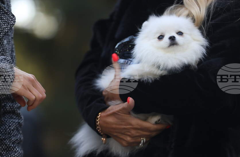 ������������� �������� �� ���������� �� ��������� ������� ������� � ������ ���������