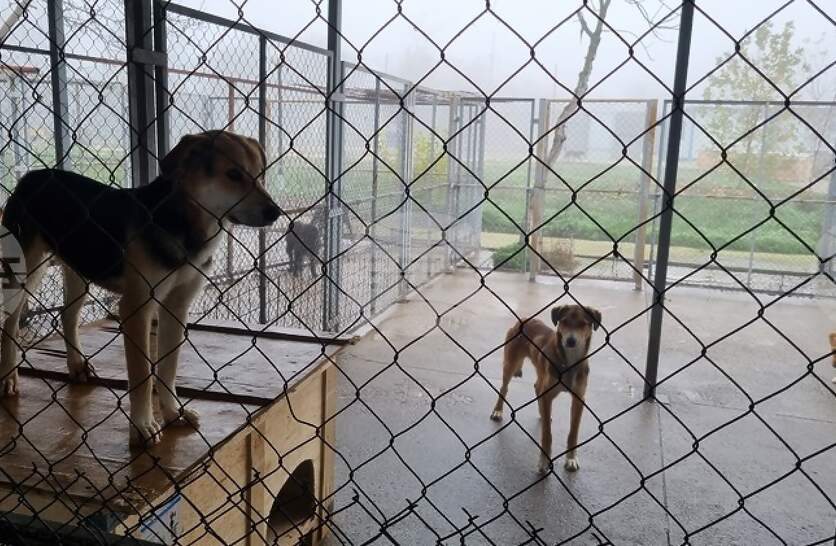 ��� 1850 ���� � ����� �������� ������ � ��������� �� ��������� � ��������� �����