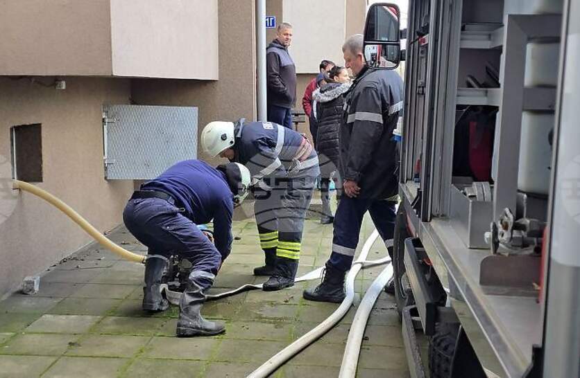 �������� �� 11 ��������� �� ����� �� ����������� ���� ��������� � ���� ��������