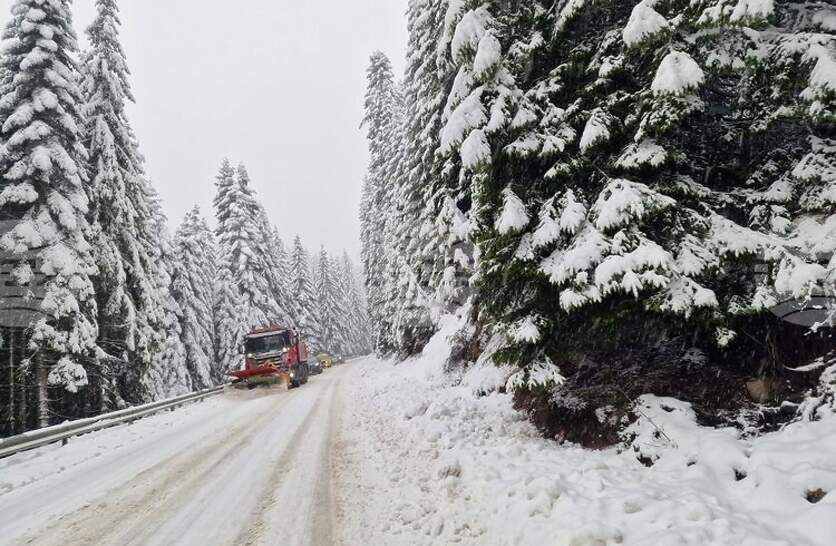 ������ ������������� �� �������� �� ������� ���������� ���� ��������� � ���������