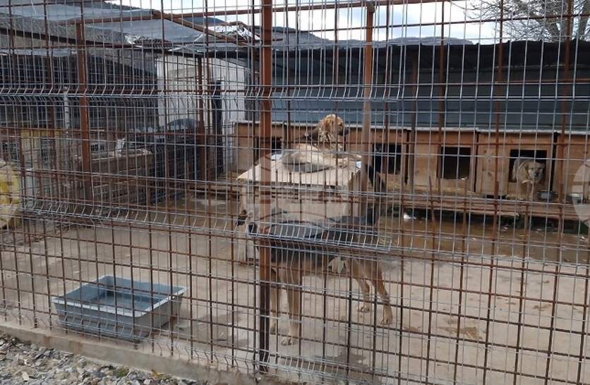 � ��������������� ���� ����� � ������ �� ����� ������� �������� �� ���� ��������� �� ��������� ����� �� ��������������� ������