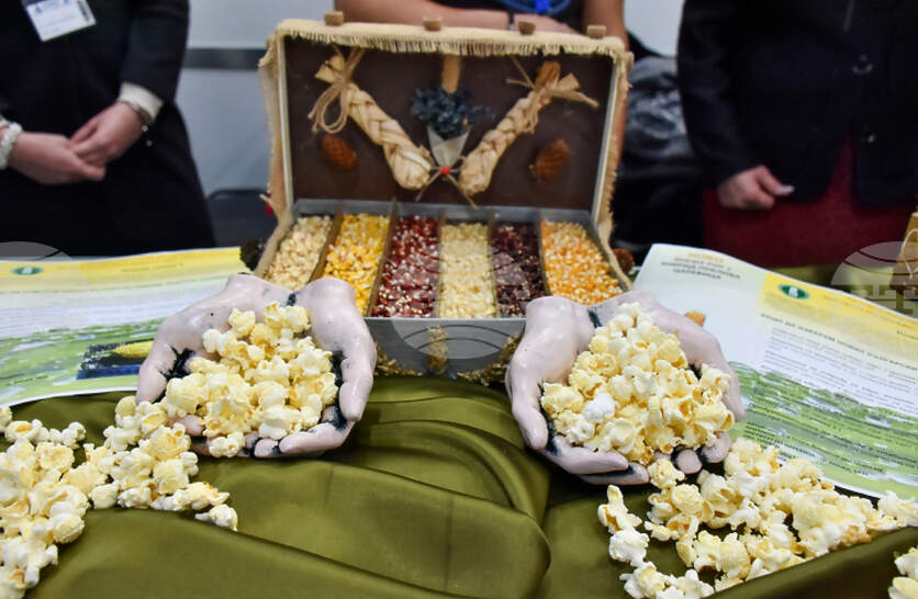 ����� 60 ���������� �� �������� � ������� �� �� ������� � ������������ ������� �� �������������� ������� 